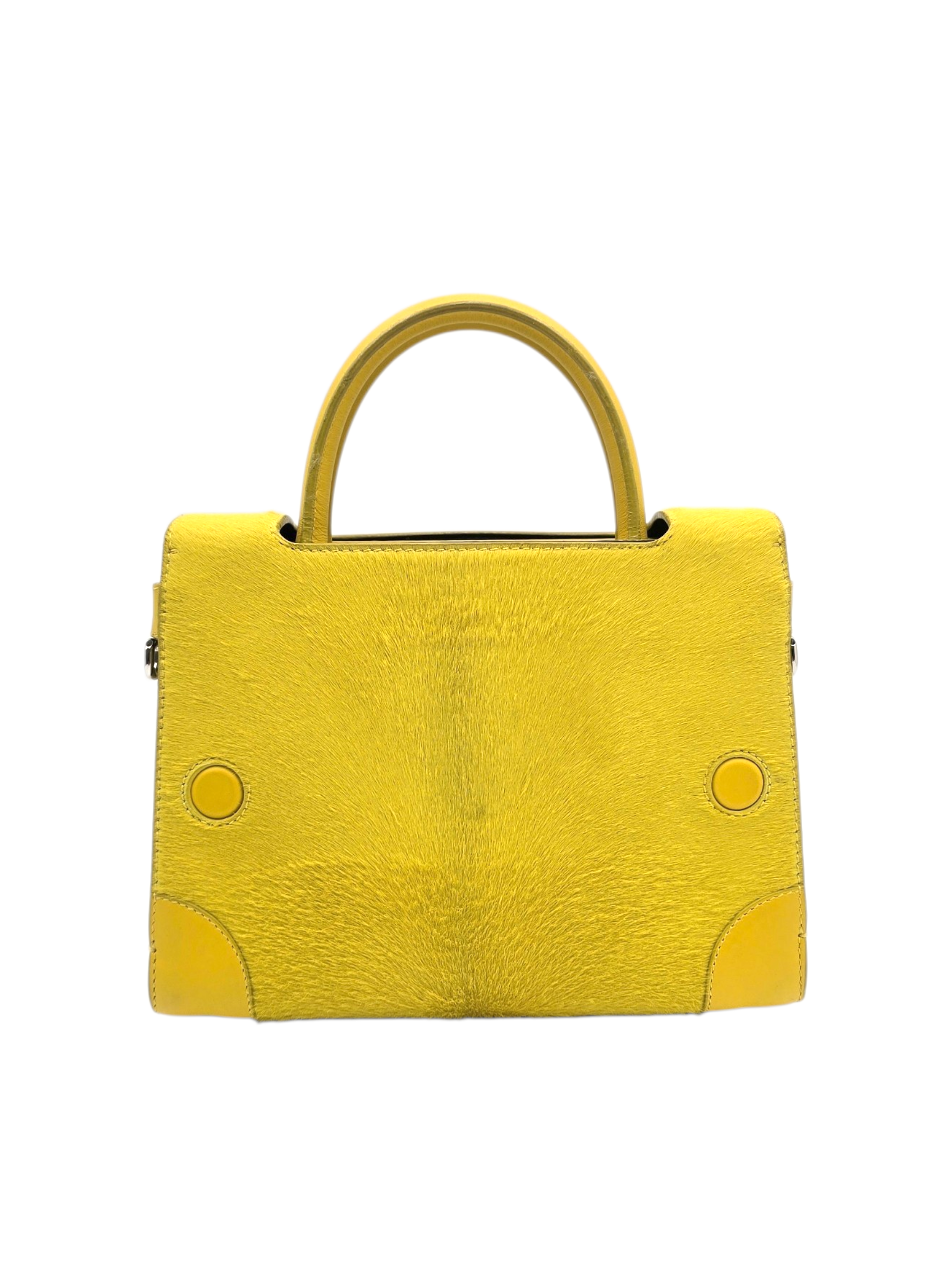 Diorever Mini Yellow Top Handle Bag in Calf Hair, Silver hardware