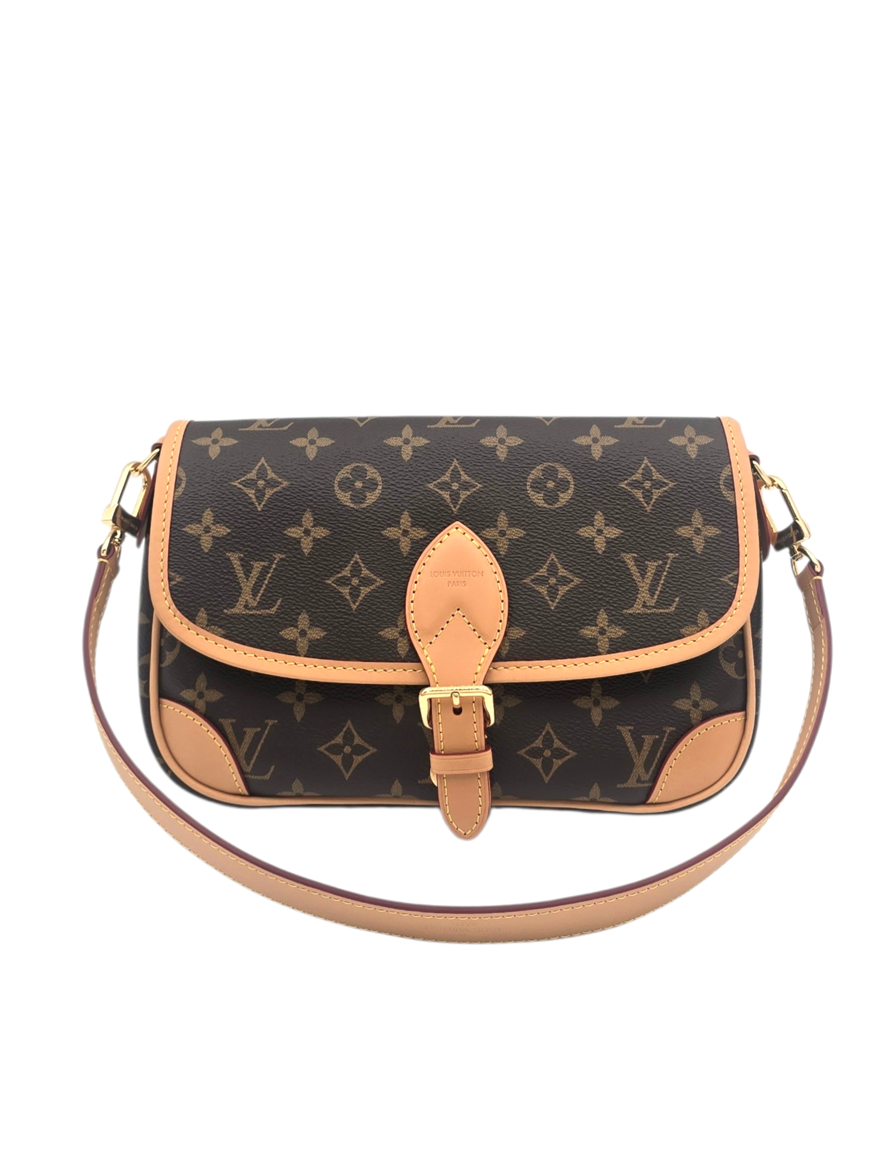 Diane Brown Shoulder Bag in Monogram Coated Canvas