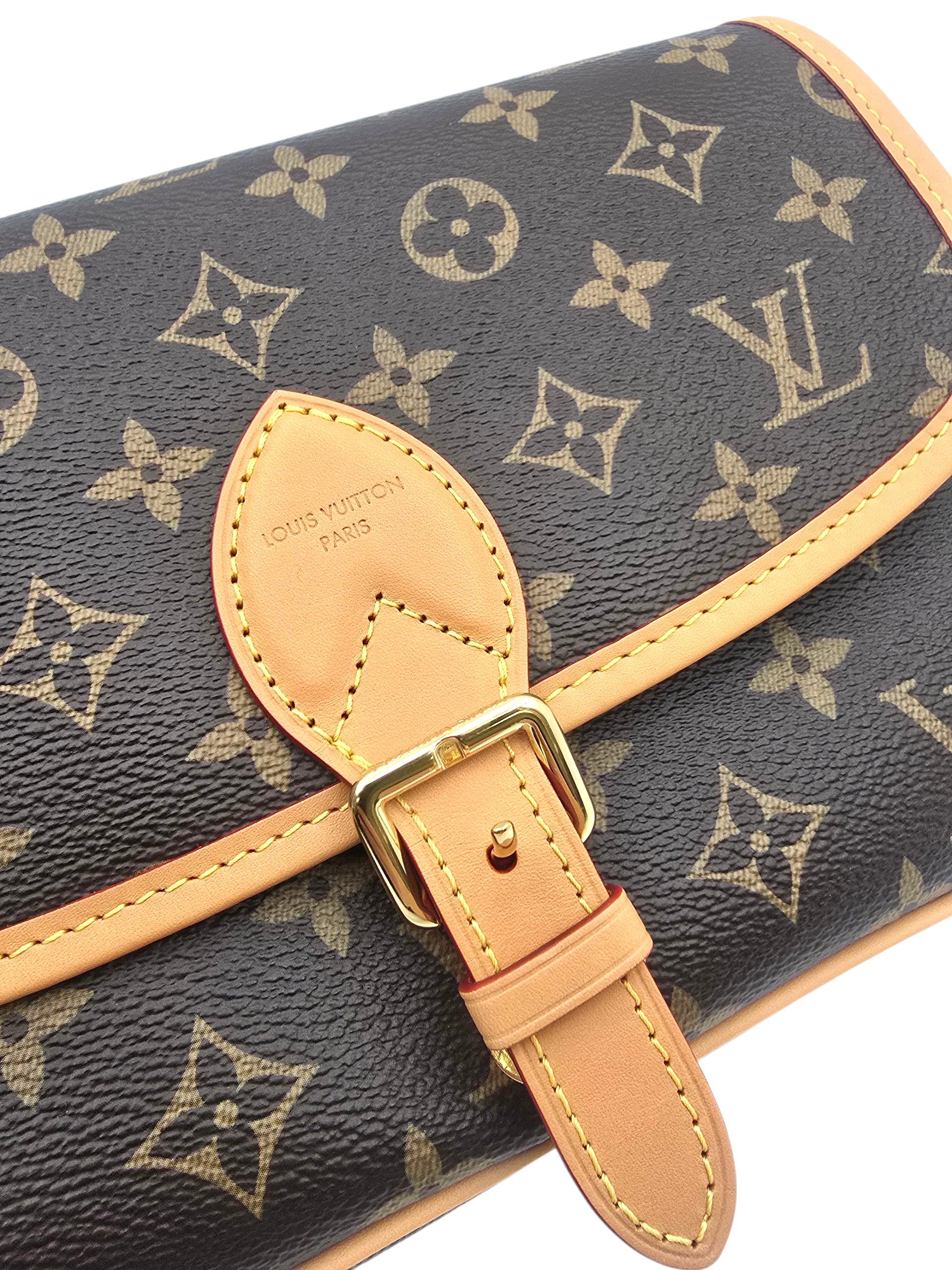 Diane Brown Shoulder Bag in Monogram Coated Canvas