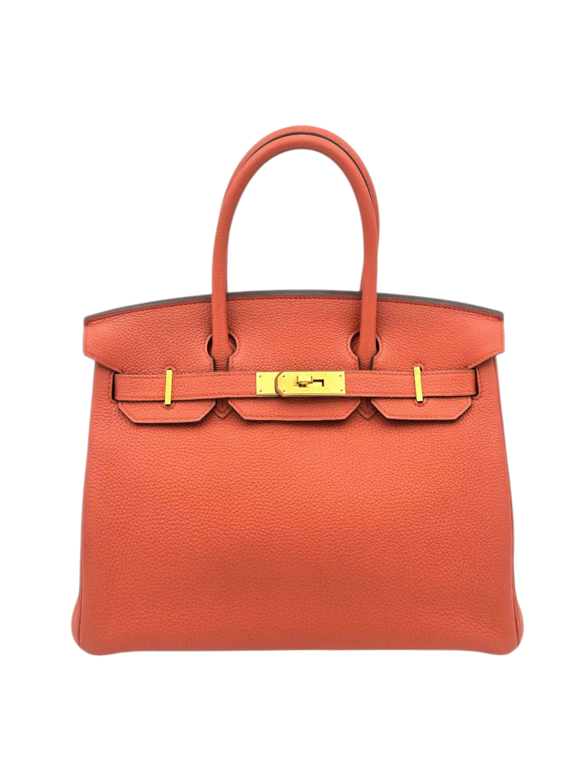 Birkin 30 Terre Battue in Togo, Gold hardware